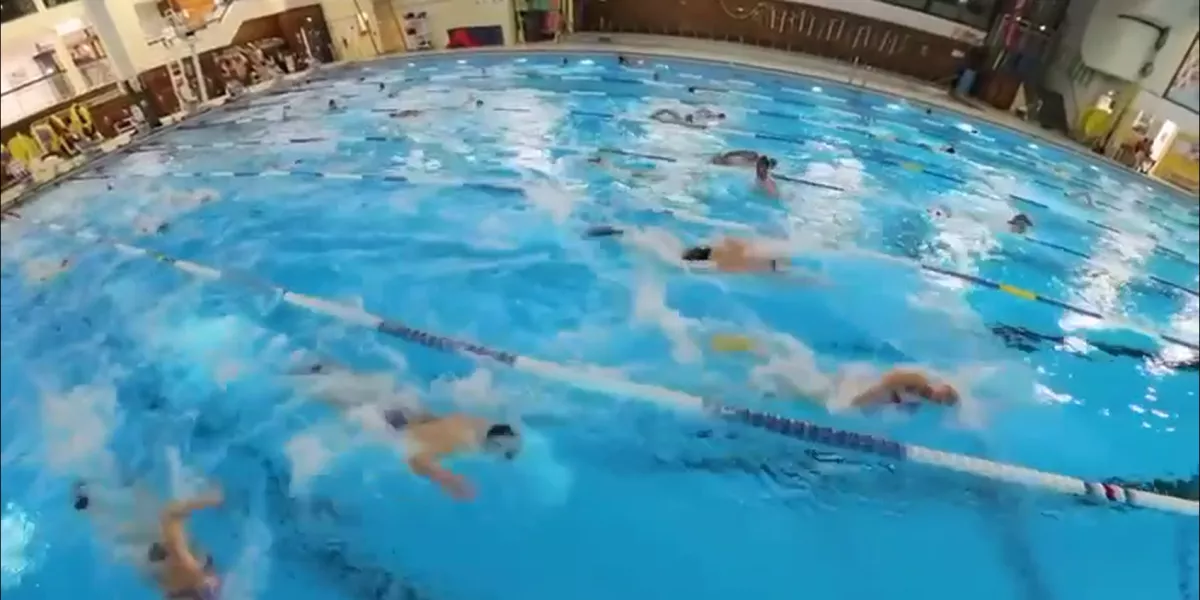 Nageurs dans un bassin